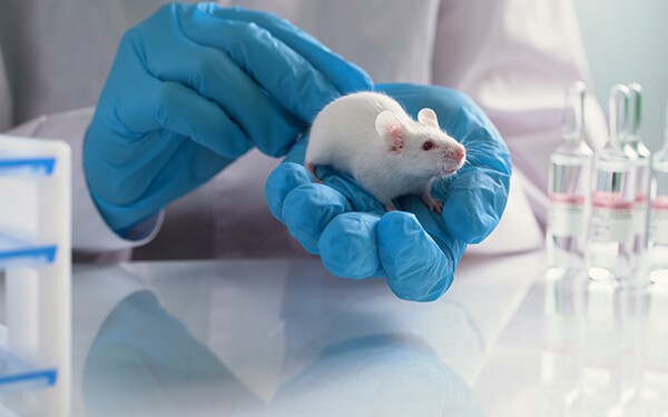 LASA ANNUAL MEETING 2024 – CALL FOR POSTERS